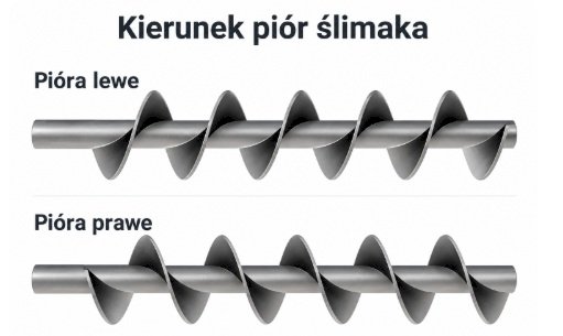 Pióro ślimakowe lewe czy prawe? Jak rozpoznać kierunek zwoju przed zamówieniem?